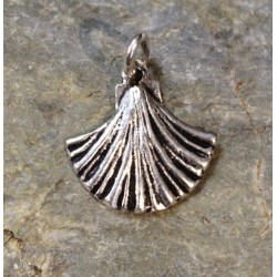 Petite Coquille saint Jacques