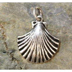 Coquille saint Jacques
