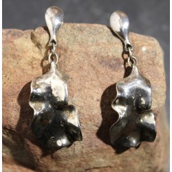 Boucles d'Oreilles Houx